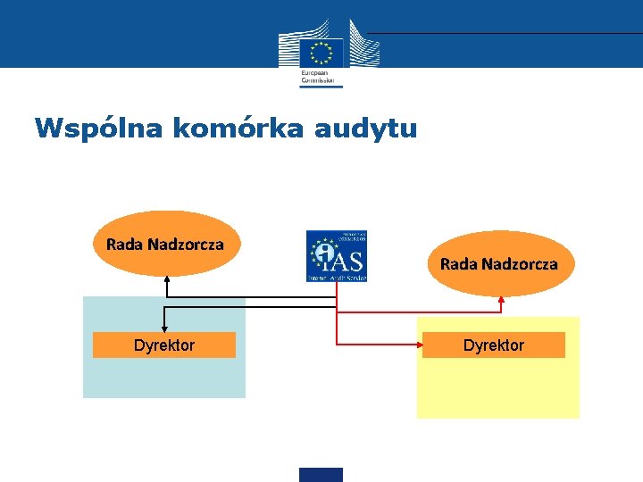 Wspólna komórka audytu Rada Nadzorcza Dyrektor 