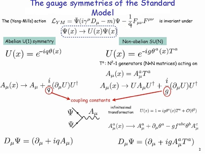 The gauge symmetries of the Standard Model 2 