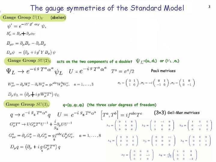 The gauge symmetries of the Standard Model 3 