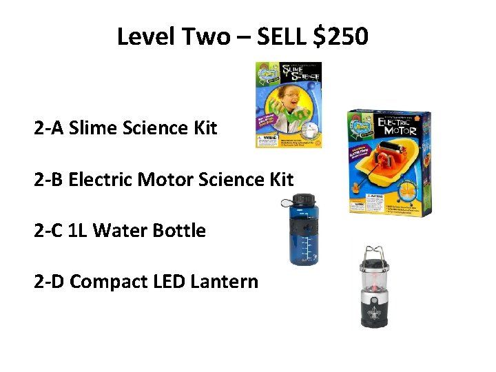 Level Two – SELL $250 2 -A Slime Science Kit 2 -B Electric Motor