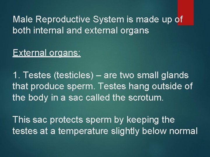 Male Reproductive System is made up of both internal and external organs External organs: