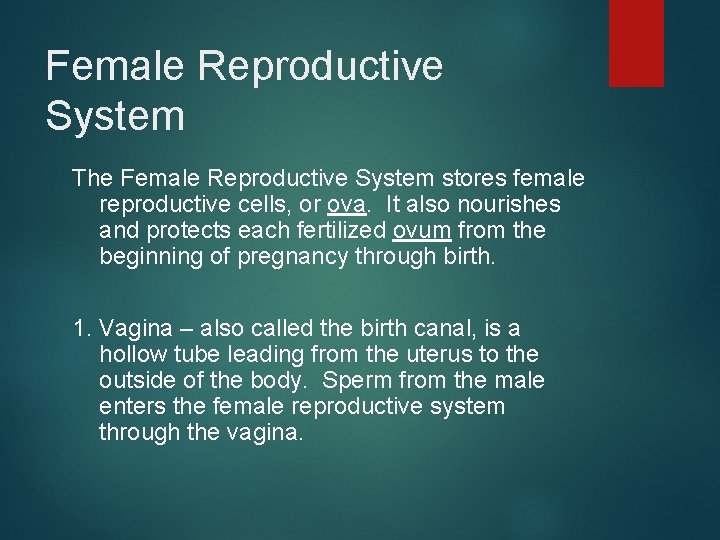 Female Reproductive System The Female Reproductive System stores female reproductive cells, or ova. It