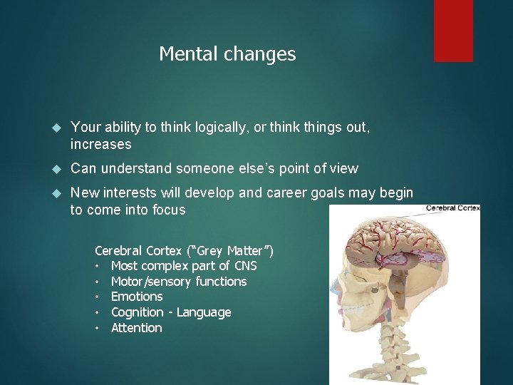 Mental changes Your ability to think logically, or think things out, increases Can understand