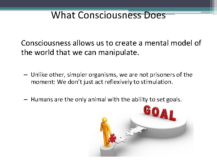 What Consciousness Does Consciousness allows us to create a mental model of the world