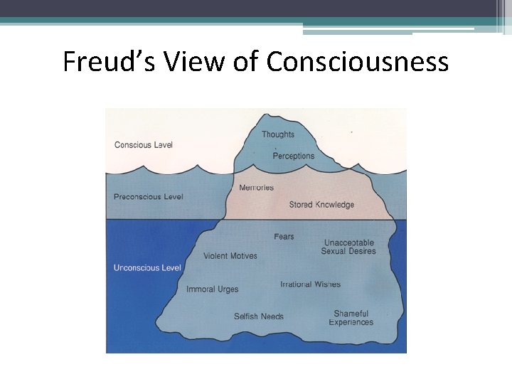 Freud’s View of Consciousness 