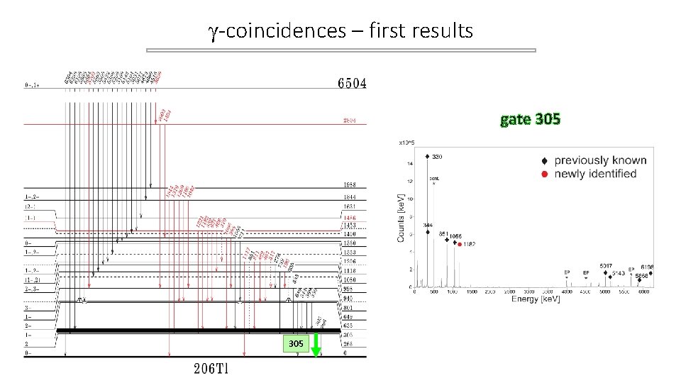 -coincidences – first results gate 305 -coincidences – first results gate 305