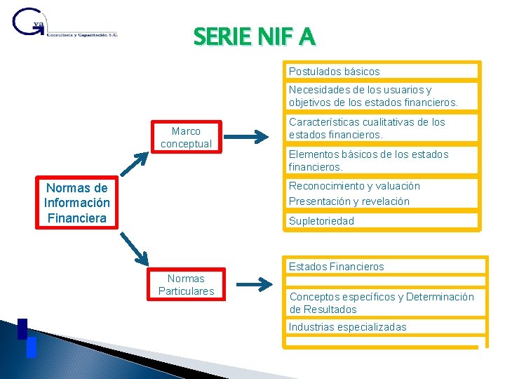 SERIE NIF A Postulados básicos Necesidades de los usuarios y objetivos de los estados