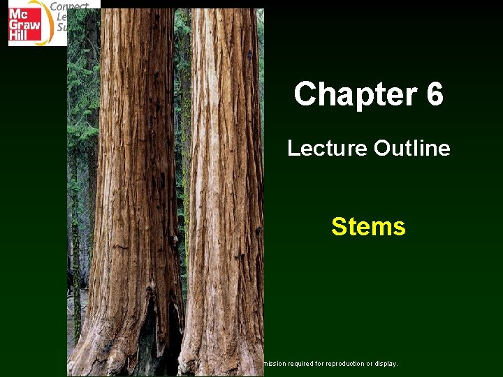 Chapter 6 Lecture Outline Stems Copyright © The Mc. Graw-Hill Companies, Inc. Permission required