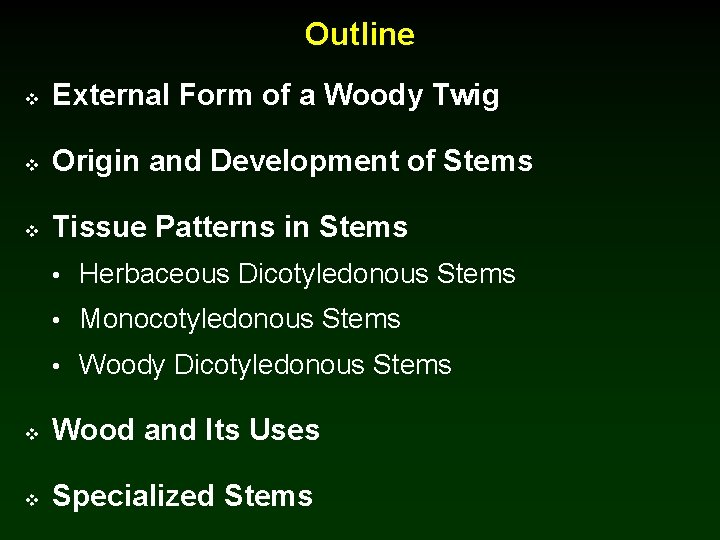 Outline v External Form of a Woody Twig v Origin and Development of Stems