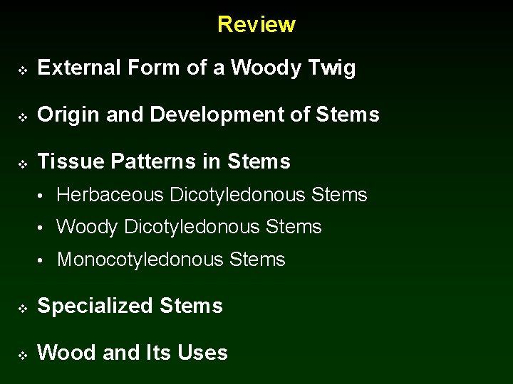 Review v External Form of a Woody Twig v Origin and Development of Stems