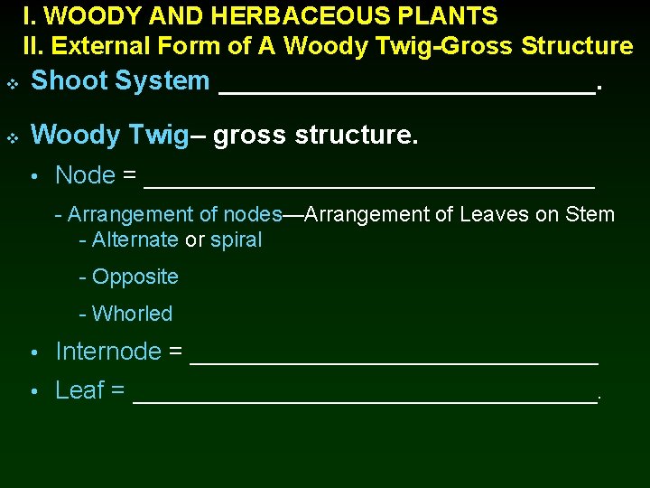 I. WOODY AND HERBACEOUS PLANTS II. External Form of A Woody Twig-Gross Structure v