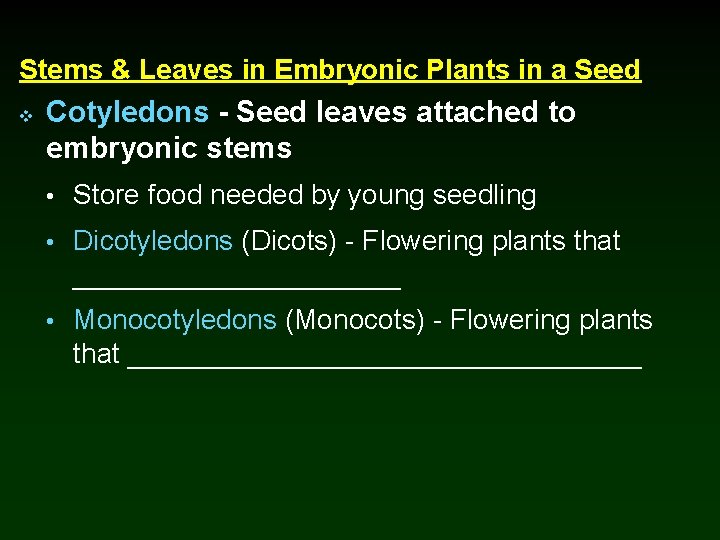 Stems & Leaves in Embryonic Plants in a Seed v Cotyledons - Seed leaves