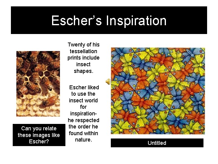 Escher’s Inspiration Twenty of his tessellation prints include insect shapes. Can you relate these