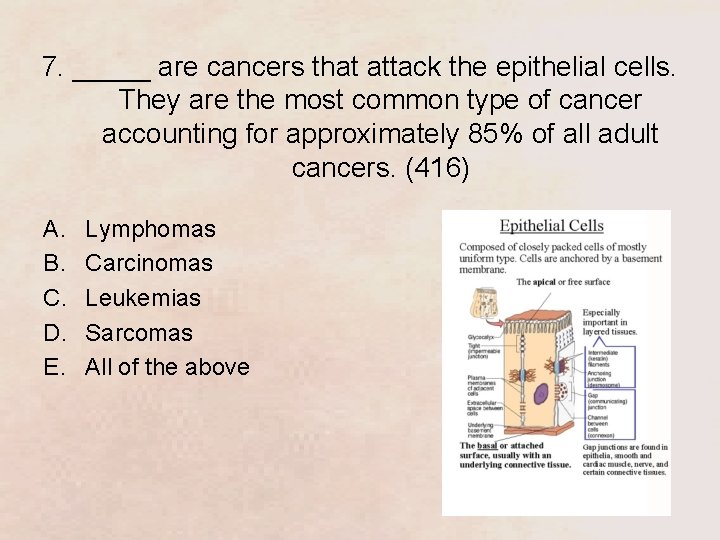 7. _____ are cancers that attack the epithelial cells. They are the most common