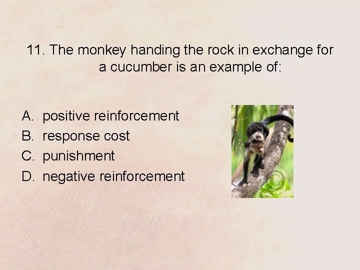 11. The monkey handing the rock in exchange for a cucumber is an example