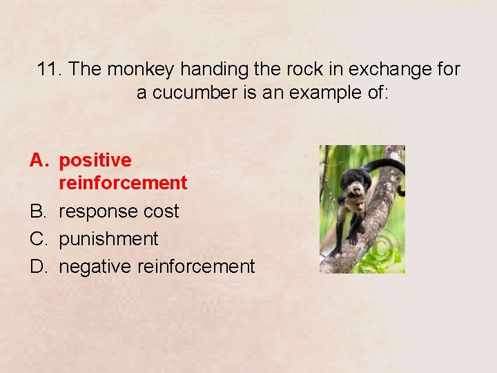 11. The monkey handing the rock in exchange for a cucumber is an example