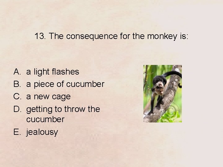 13. The consequence for the monkey is: A. B. C. D. a light flashes