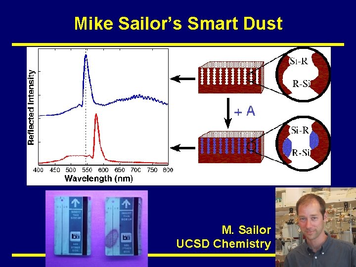 Mike Sailor’s Smart Dust M. Sailor UCSD Chemistry SMART DUST 