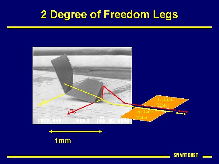 2 Degree of Freedom Legs 1 st Link Motor 2 nd Link Motor 1