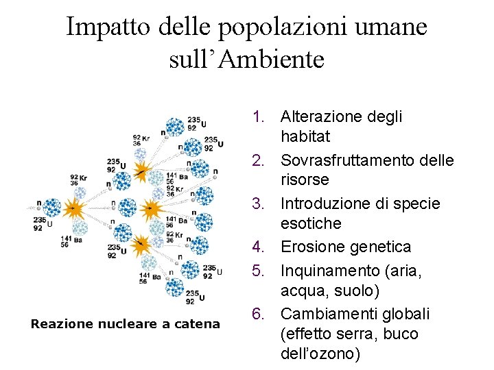 Impatto delle popolazioni umane sull’Ambiente Reazione nucleare a catena 1. Alterazione degli habitat 2.