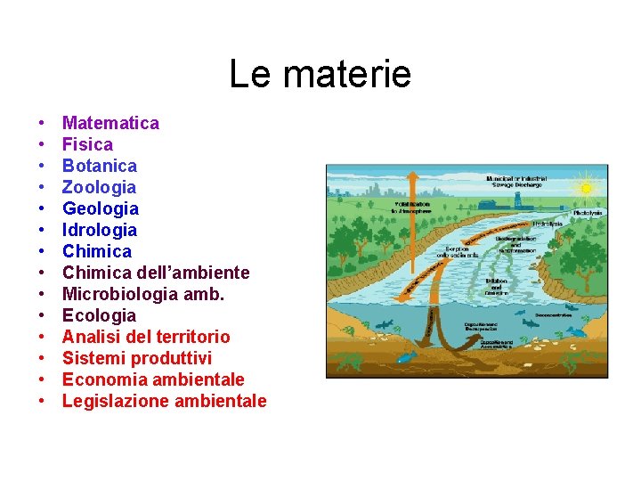 Le materie • • • • Matematica Fisica Botanica Zoologia Geologia Idrologia Chimica dell’ambiente