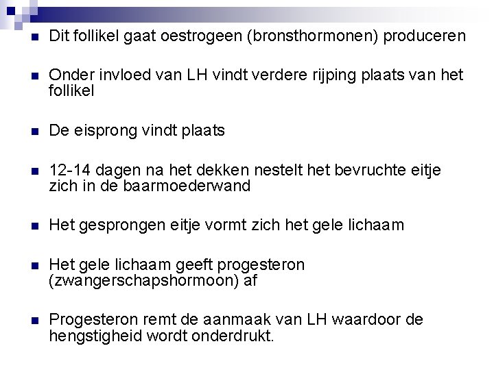 n Dit follikel gaat oestrogeen (bronsthormonen) produceren n Onder invloed van LH vindt verdere