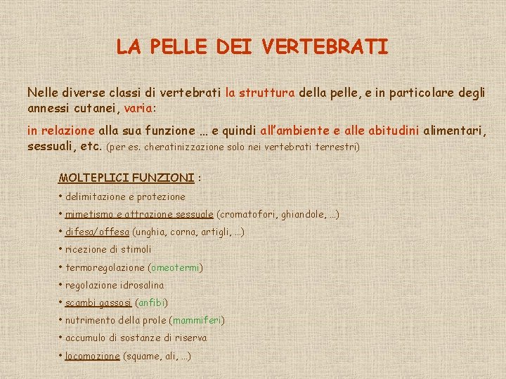 LA PELLE DEI VERTEBRATI Nelle diverse classi di vertebrati la struttura della pelle, e
