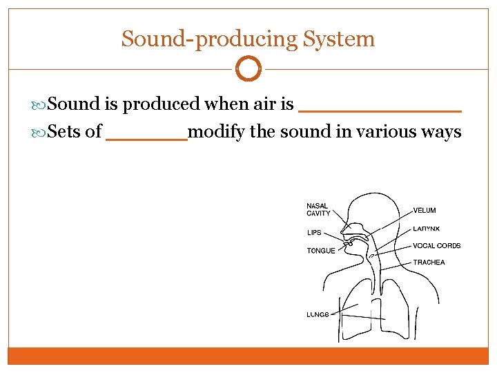 Sound-producing System Sound is produced when air is ______ Sets of ______modify the sound