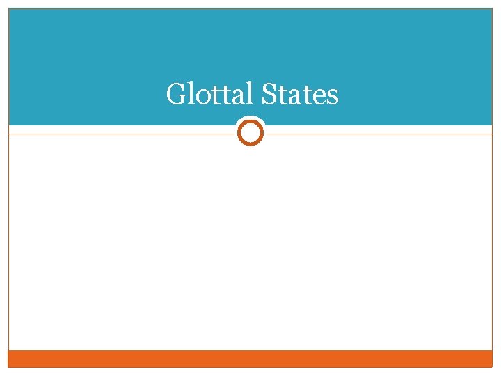 Glottal States 
