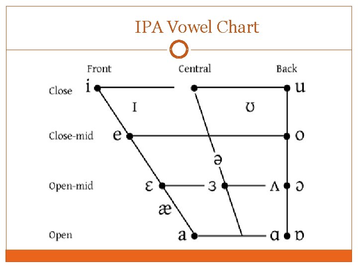 IPA Vowel Chart 