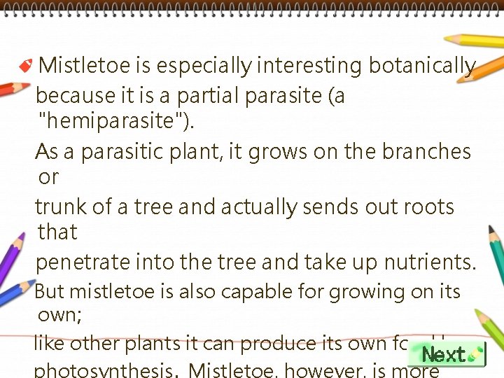 Mistletoe is especially interesting botanically because it is a partial parasite (a "hemiparasite"). As