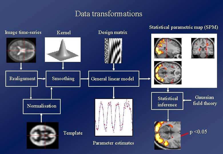 Data transformations Image time-series Kernel Design matrix Realignment Smoothing General linear model Statistical parametric