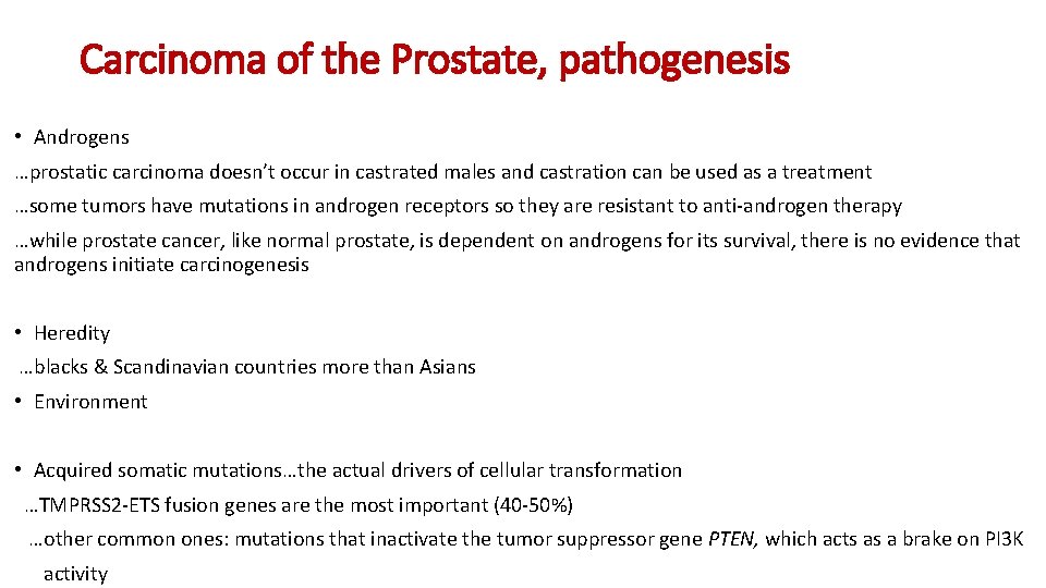 Carcinoma of the Prostate, pathogenesis • Androgens …prostatic carcinoma doesn’t occur in castrated males