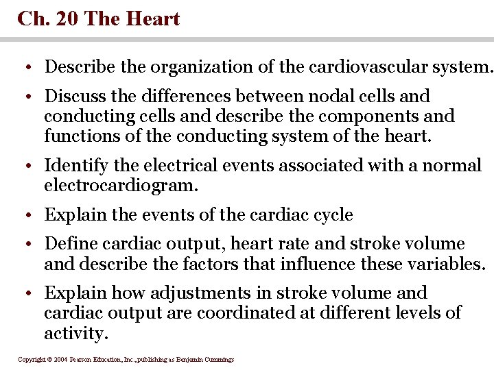 Ch. 20 The Heart • Describe the organization of the cardiovascular system. • Discuss