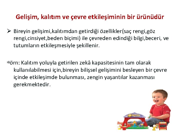 Gelişim, kalıtım ve çevre etkileşiminin bir ürünüdür Ø Bireyin gelişimi, kalıtımdan getirdiği özellikler(saç rengi,