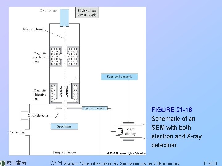 FIGURE 21 -18 Schematic of an SEM with both electron and X-ray detection. 歐亞書局