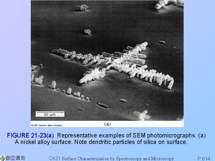 FIGURE 21 -23(a) Representative examples of SEM photomicrographs. (a) A nickel alloy surface. Note