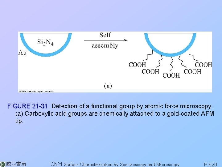FIGURE 21 -31 Detection of a functional group by atomic force microscopy. (a) Carboxylic