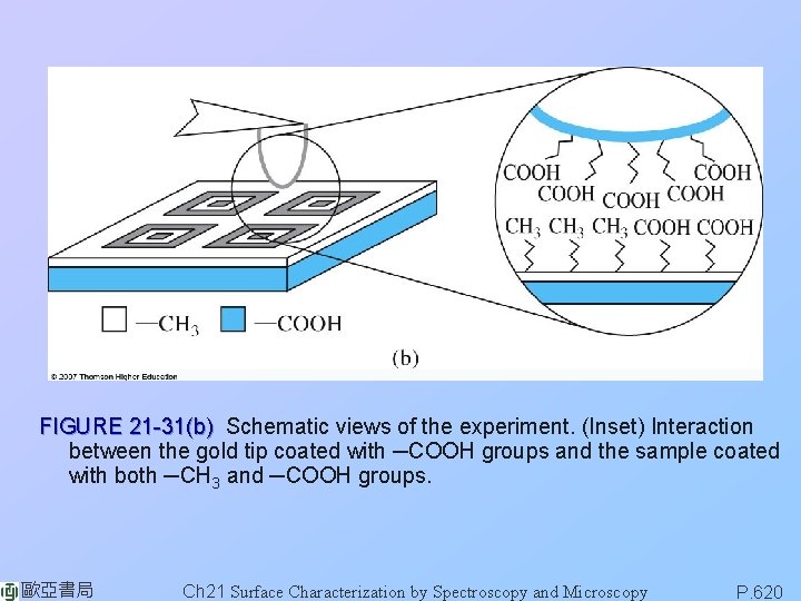 FIGURE 21 -31(b) Schematic views of the experiment. (Inset) Interaction between the gold tip