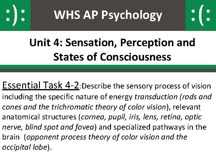 WHS AP Psychology Unit 4: Sensation, Perception and States of Consciousness Essential Task 4