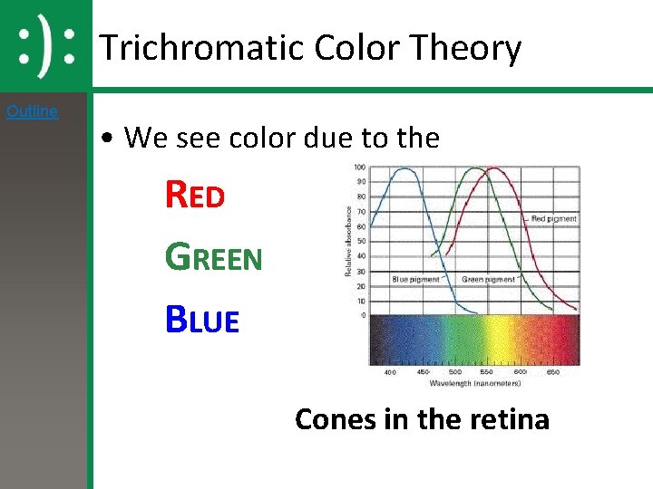 Trichromatic Color Theory Outline • We see color due to the RED GREEN BLUE