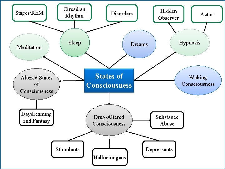 Stages/REM Meditation Circadian Rhythm Hidden Observer Disorders Sleep Hypnosis Dreams States of Consciousness Altered