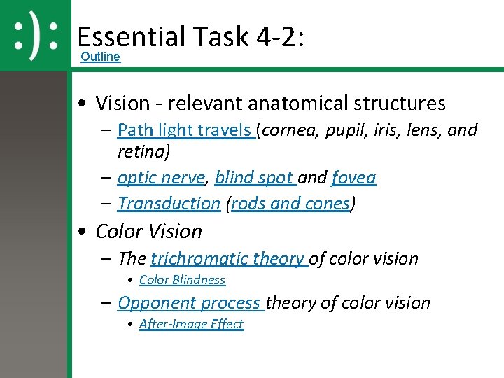Essential Task 4 -2: Outline • Vision - relevant anatomical structures – Path light