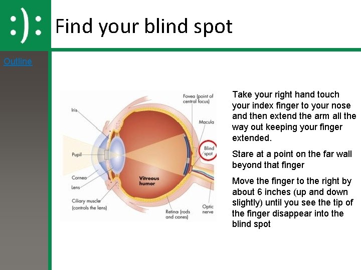 Find your blind spot Outline Take your right hand touch your index finger to