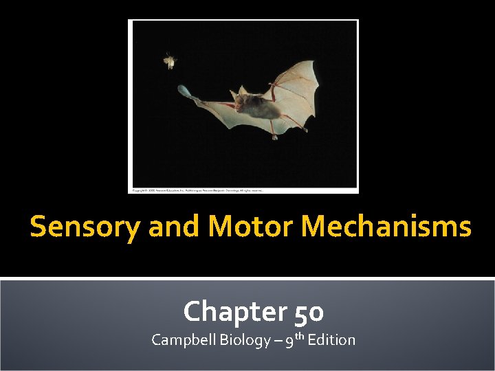 Sensory and Motor Mechanisms Chapter 50 Campbell Biology – 9 th Edition 