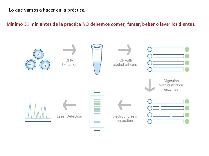 Lo que vamos a hacer en la práctica… Mínimo 30 min antes de la