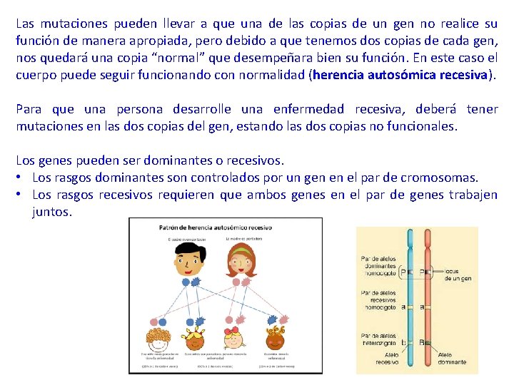 Las mutaciones pueden llevar a que una de las copias de un gen no