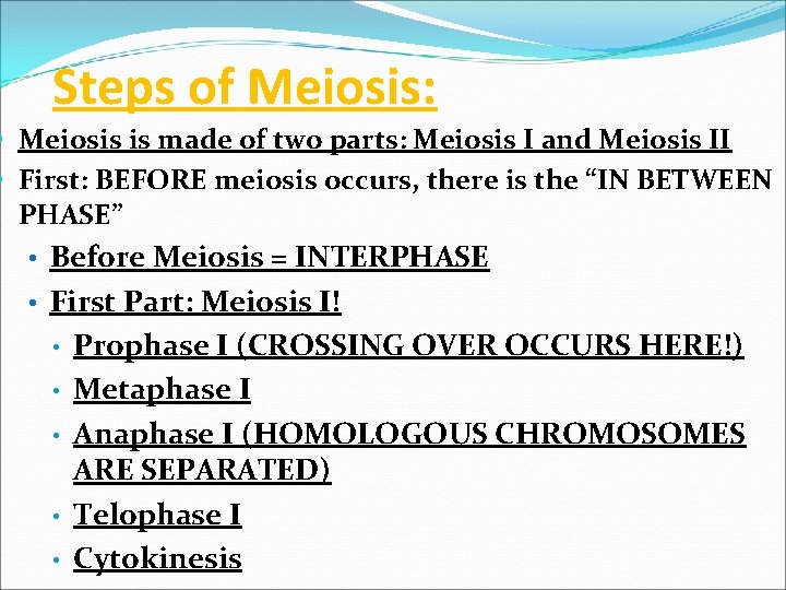 Steps of Meiosis: • Meiosis is made of two parts: Meiosis I and Meiosis