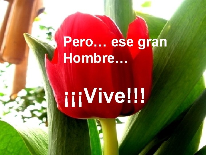 Pero… ese gran Hombre… ¡¡¡Vive!!! Pero… ese gran Hombre… ¡¡¡Vive!!!