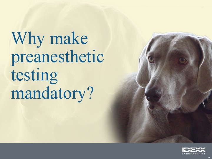 Why make preanesthetic testing mandatory? 11 